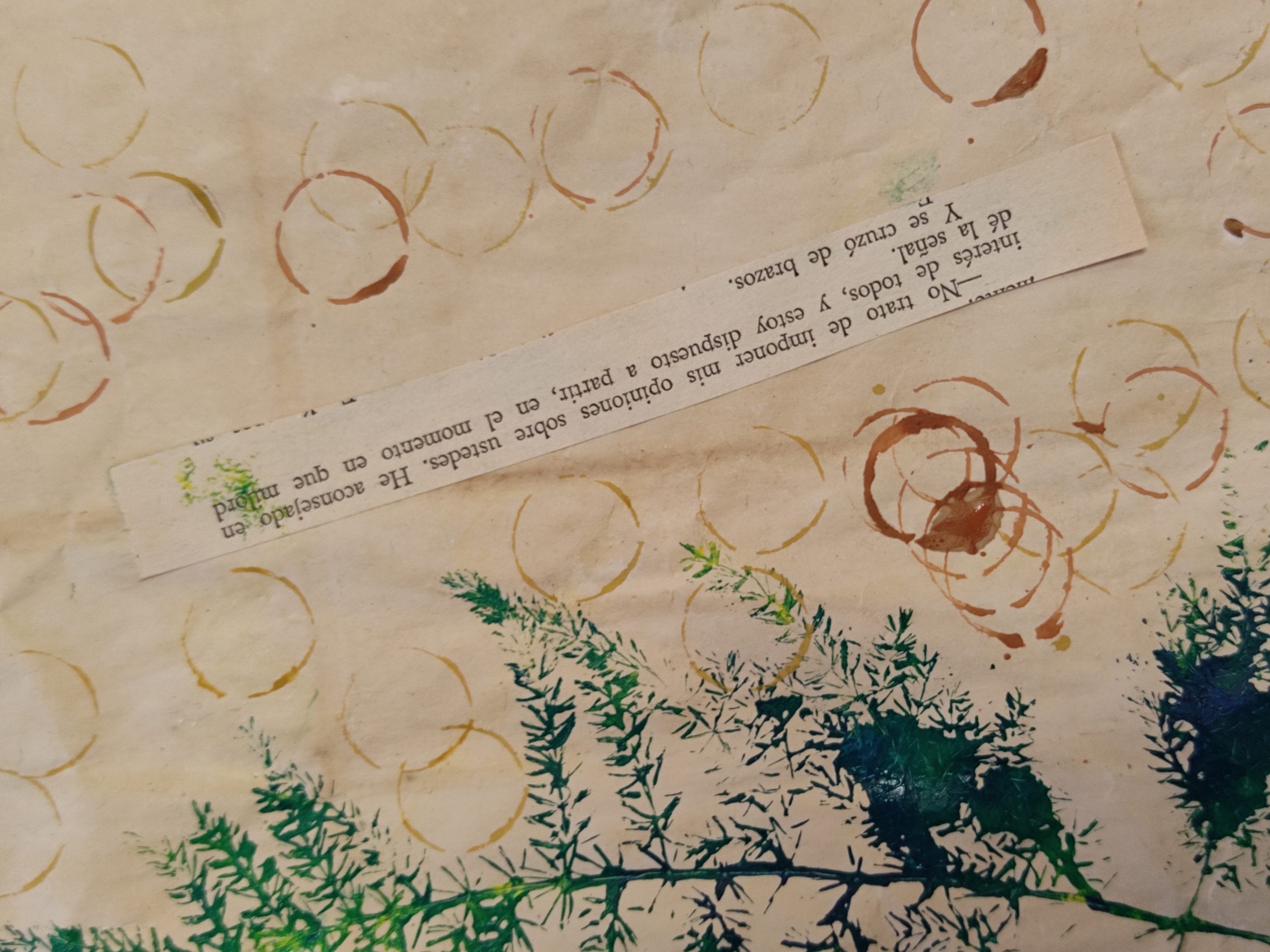 fulles paper_desperta art i natura