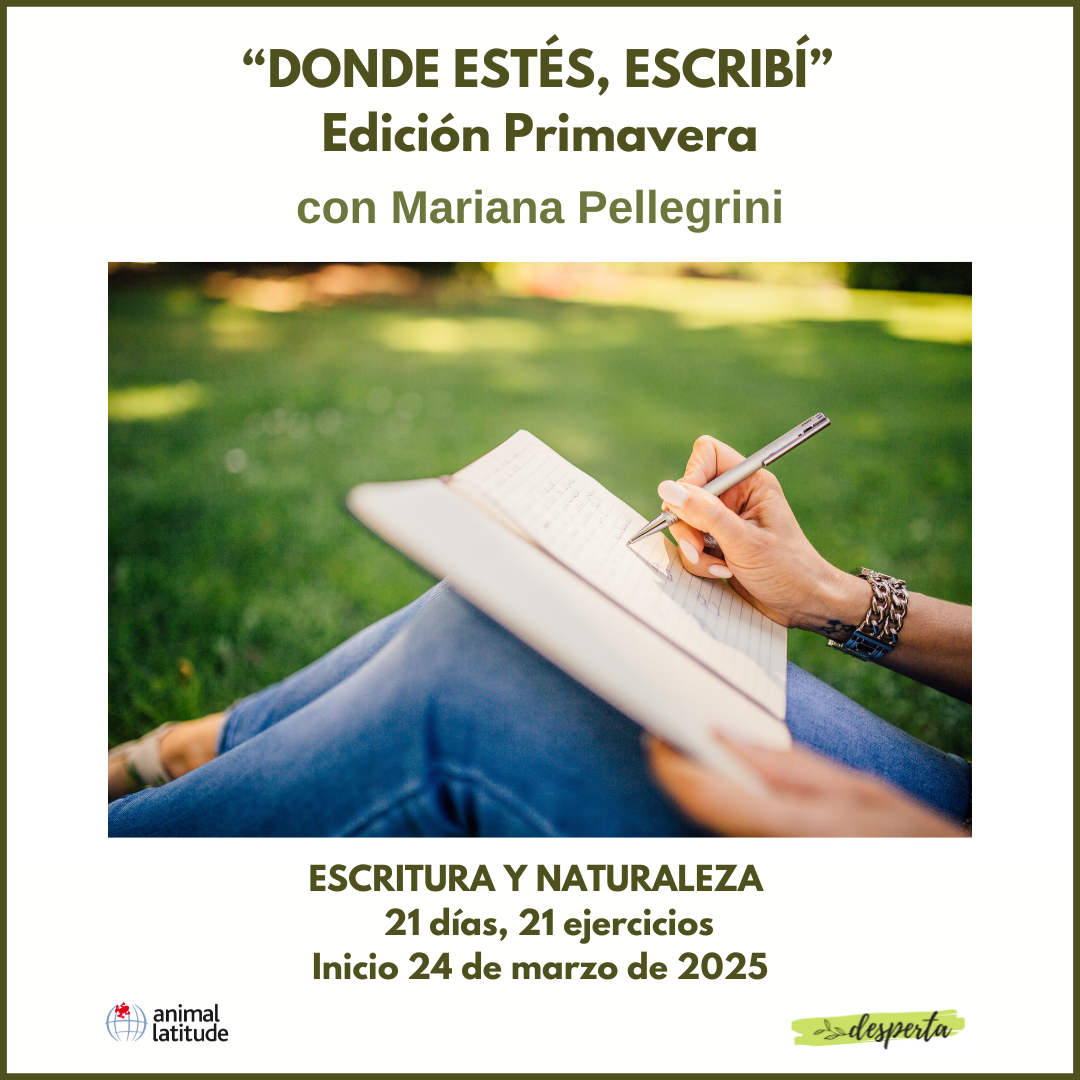 Denonde estes _escribiendo primavera