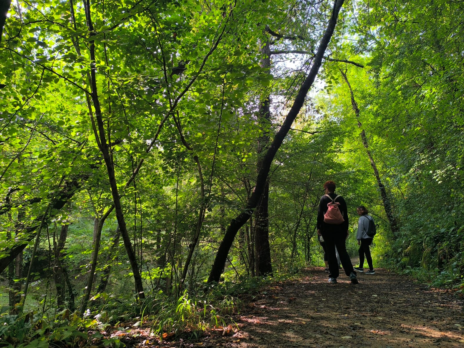 mindfulness_natura stjoanabadesses